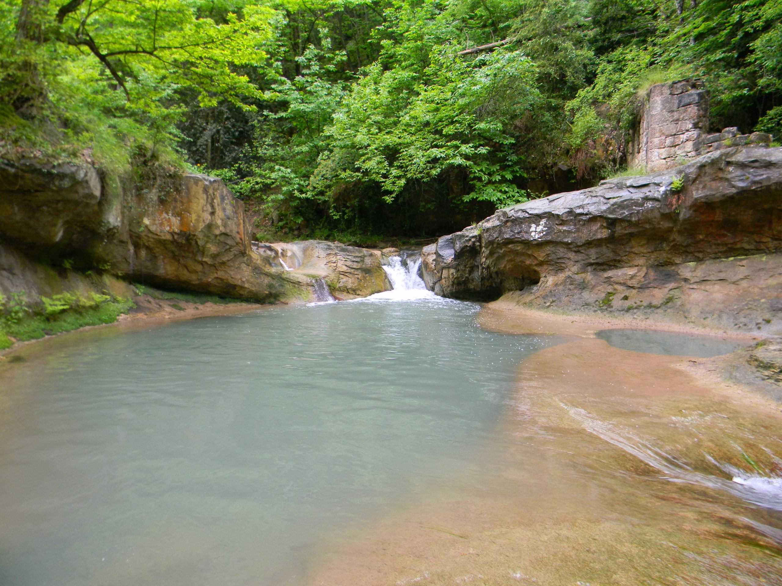 DSCN3867