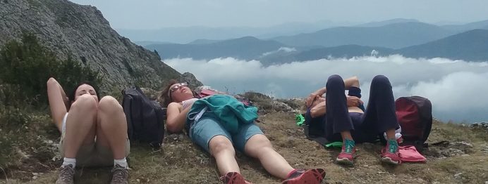 20170719_135614-692×262